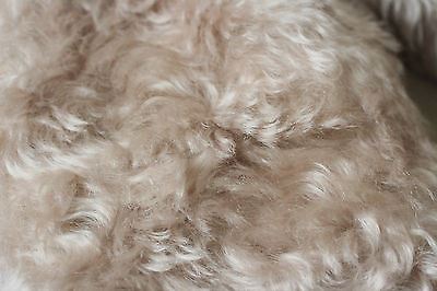 MARIE CHANTAL BABY STEIFF BEIGE FUR COAT LARGE 24 MONTHS - Image 6