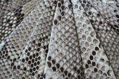 STARK AT HARRODS NATURAL PYTHON ARC CLUTCH BAG - Image 6